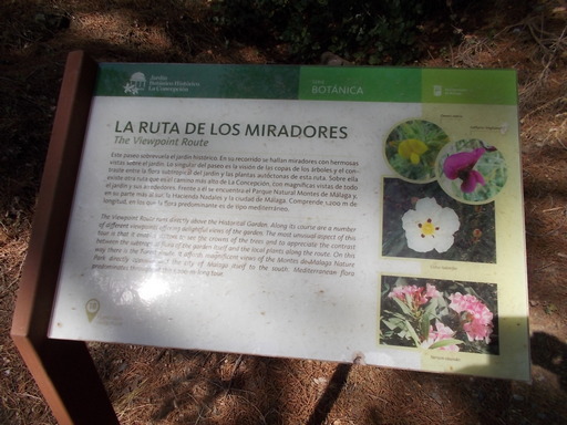Lo siento, imagen ausente.