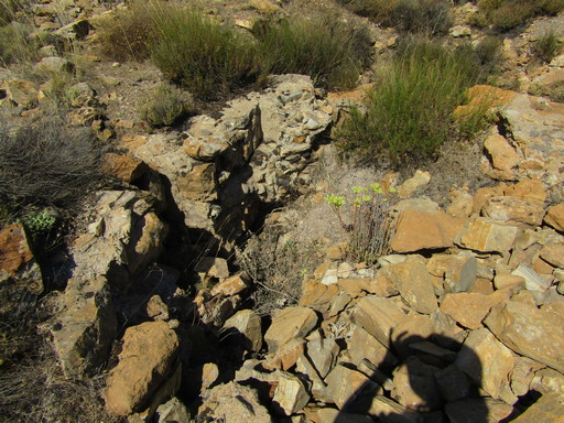 Sorry - image missing