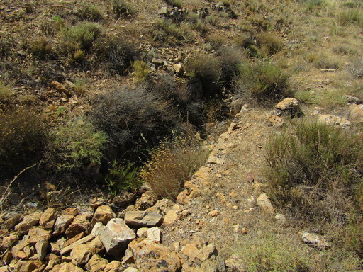 Sorry - image missing