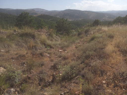 Sorry, image missing.