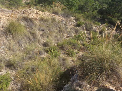 Sorry, image missing