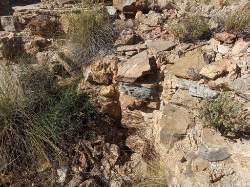 Sorry, image missing