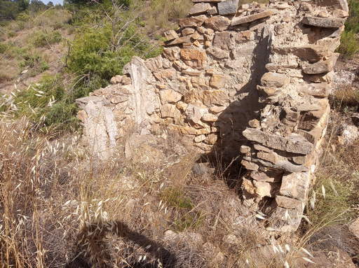 Sorry, image missing