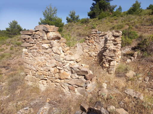 Sorry, image missing