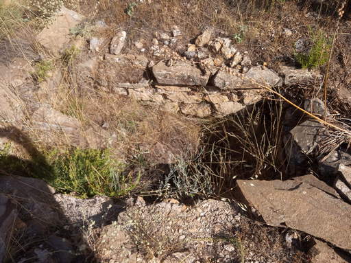 Sorry, image missing