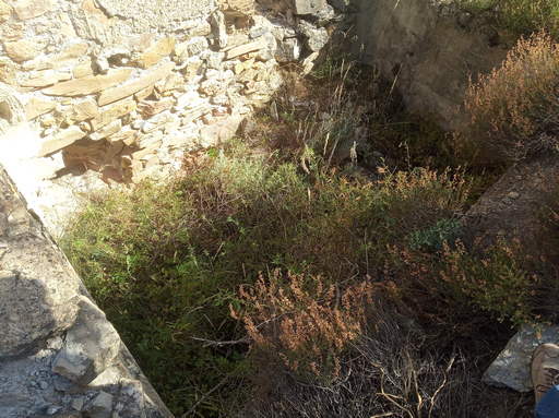 Sorry, image missing