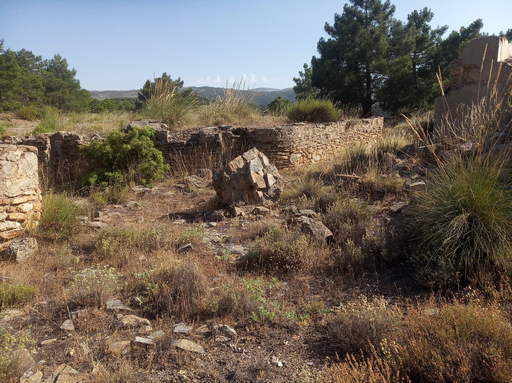 Sorry, image missing